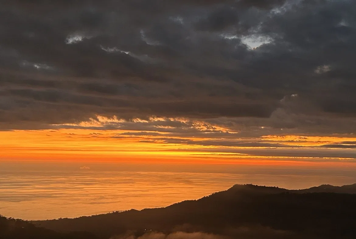 Fire Sale Under Market Value: Secluded Mountain Farm with Ocean Views – 19.28 acres, photo 2