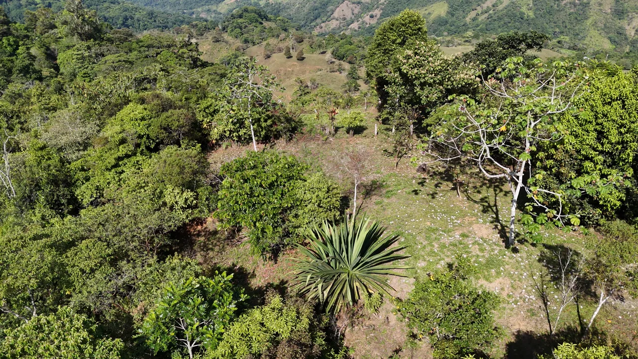 Fire Sale Under Market Value: Secluded Mountain Farm with Ocean Views – 19.28 acres, photo 11