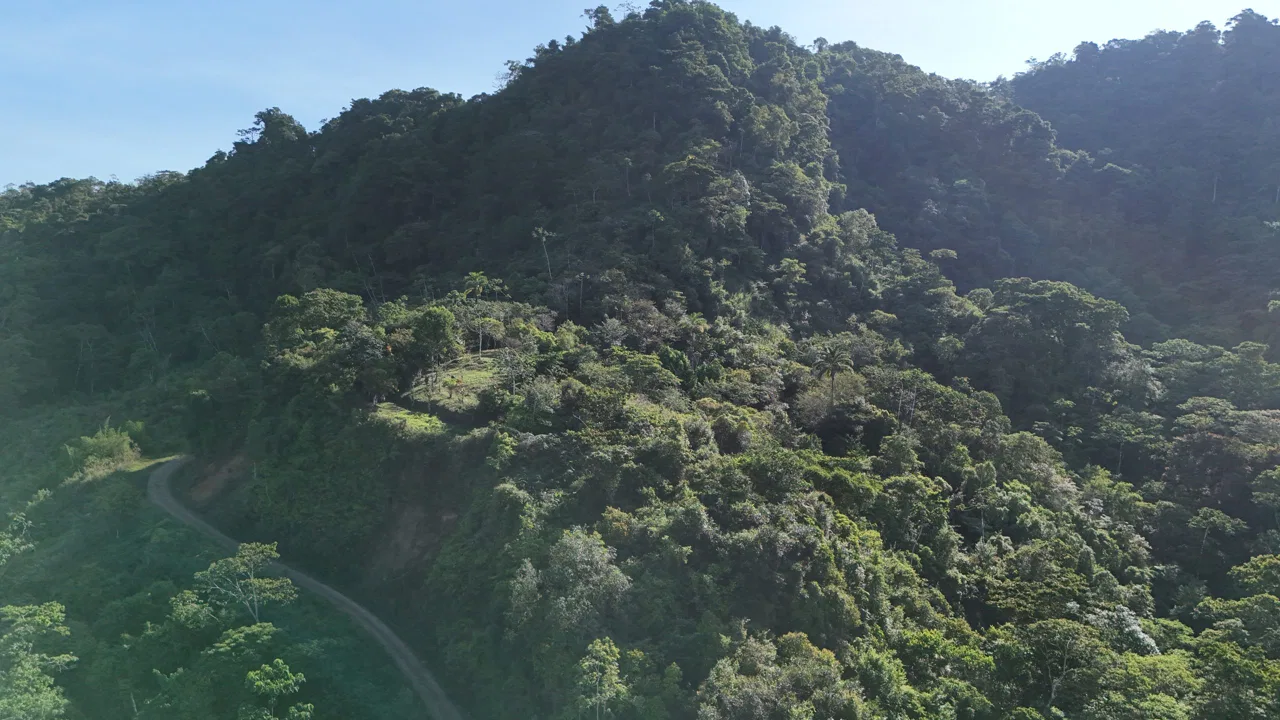 Fire Sale Under Market Value: Secluded Mountain Farm with Ocean Views – 19.28 acres, photo 15