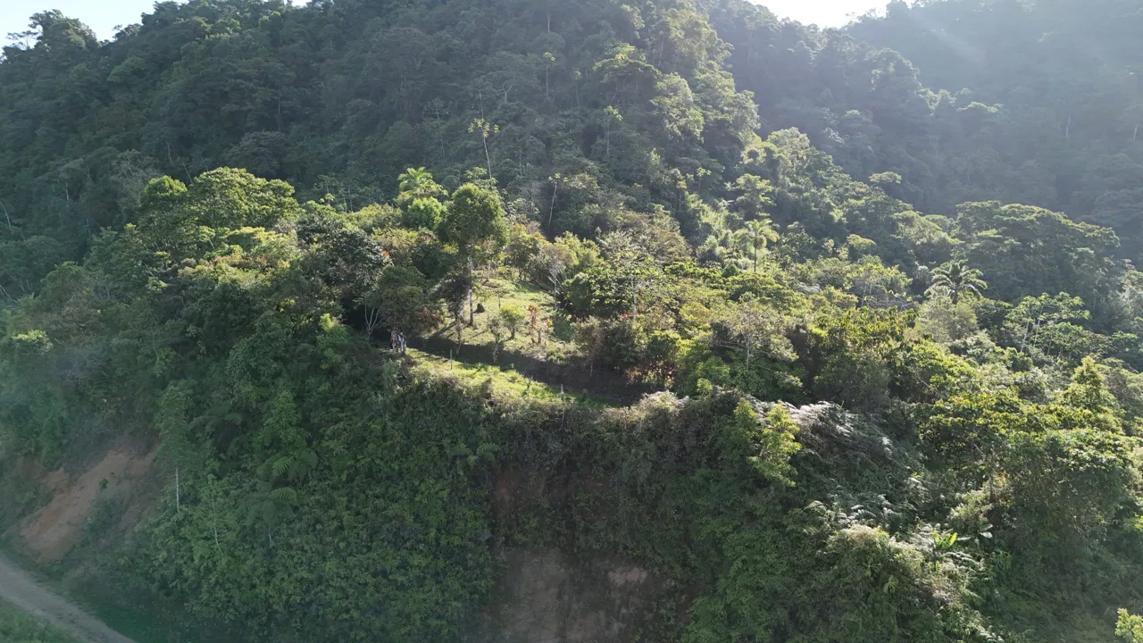 Fire Sale Under Market Value: Secluded Mountain Farm with Ocean Views – 19.28 acres, photo 17
