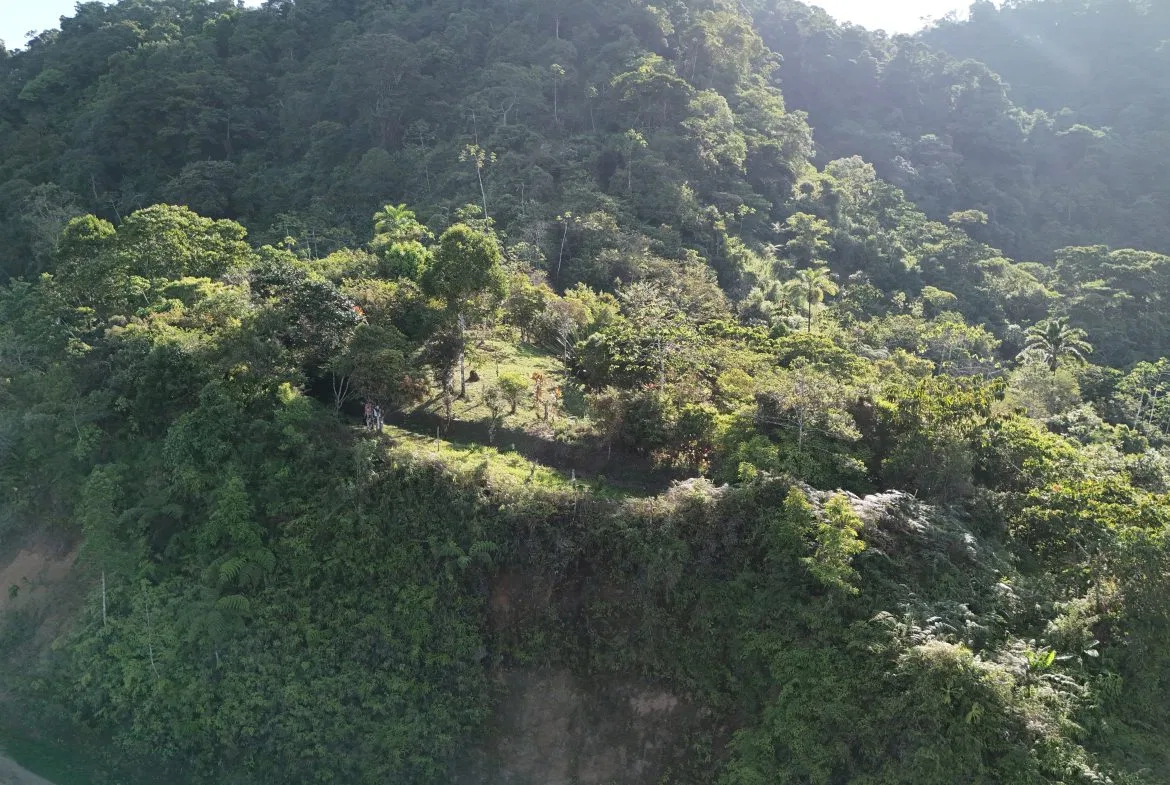 Fire Sale Under Market Value: Secluded Mountain Farm with Ocean Views – 19.28 acres, photo 18