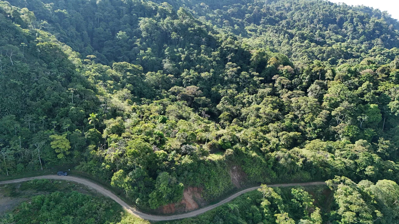 Fire Sale Under Market Value: Secluded Mountain Farm with Ocean Views – 19.28 acres, photo 19