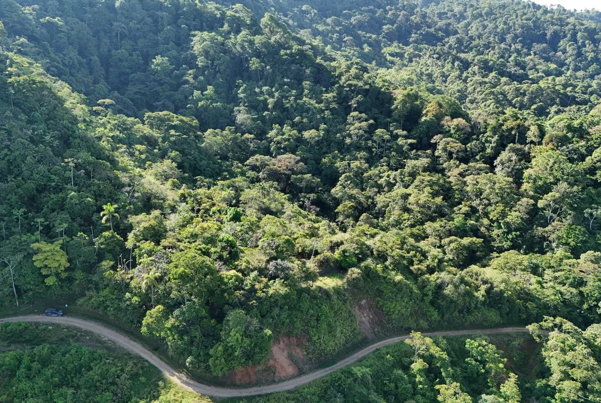 Fire Sale Under Market Value: Secluded Mountain Farm with Ocean Views – 19.28 acres, photo 20