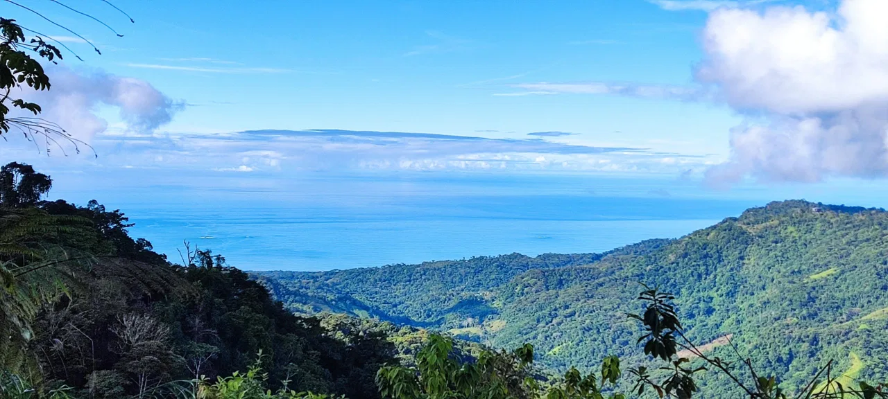Fire Sale Under Market Value: Secluded Mountain Farm with Ocean Views – 19.28 acres, photo 3