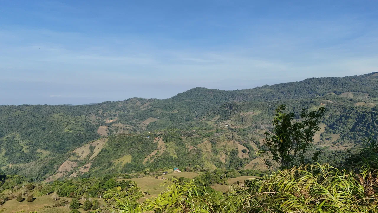 Fire Sale Under Market Value: Secluded Mountain Farm with Ocean Views – 19.28 acres, photo 21