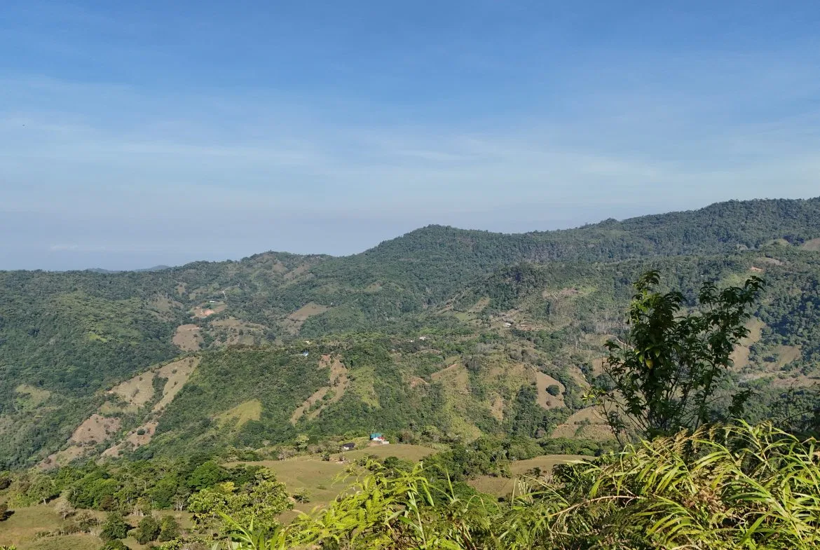 Fire Sale Under Market Value: Secluded Mountain Farm with Ocean Views – 19.28 acres, photo 22