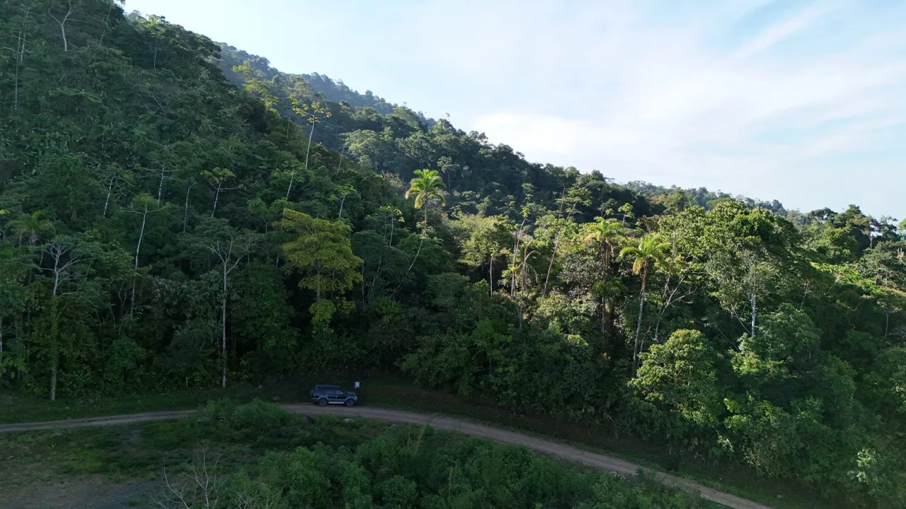 Fire Sale Under Market Value: Secluded Mountain Farm with Ocean Views – 19.28 acres, photo 23