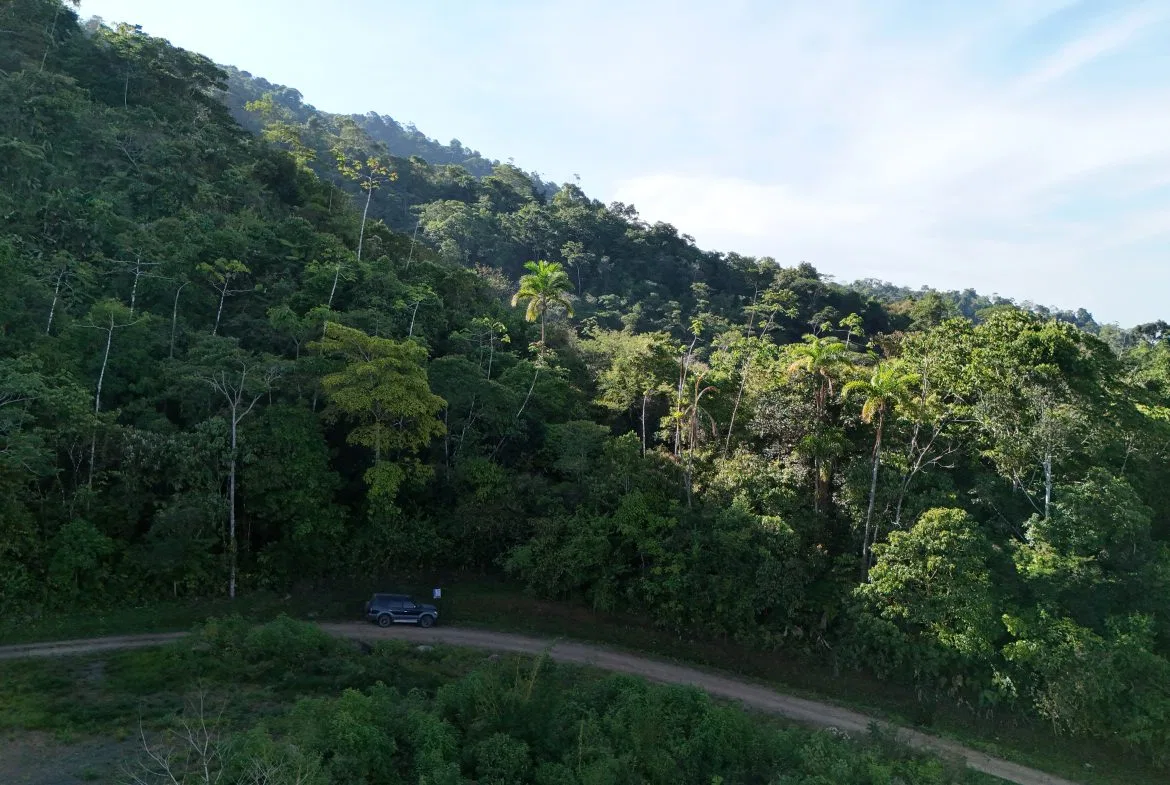 Fire Sale Under Market Value: Secluded Mountain Farm with Ocean Views – 19.28 acres, photo 24