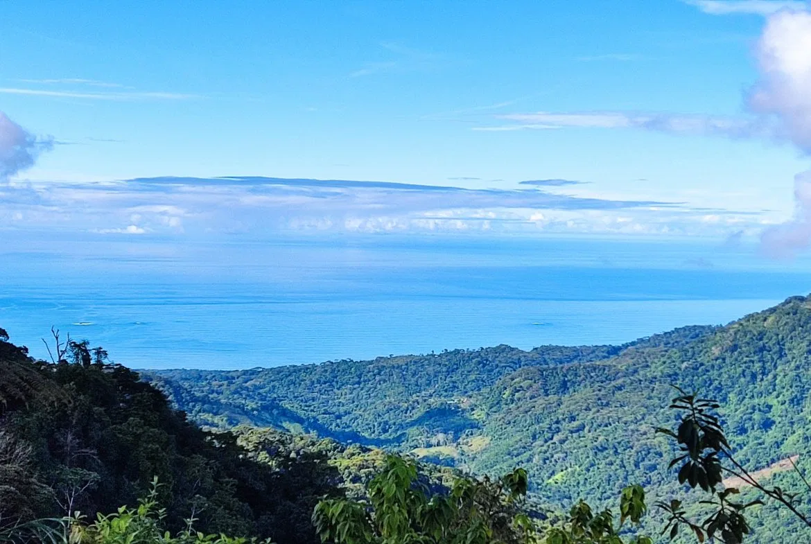 Fire Sale Under Market Value: Secluded Mountain Farm with Ocean Views – 19.28 acres, photo 4