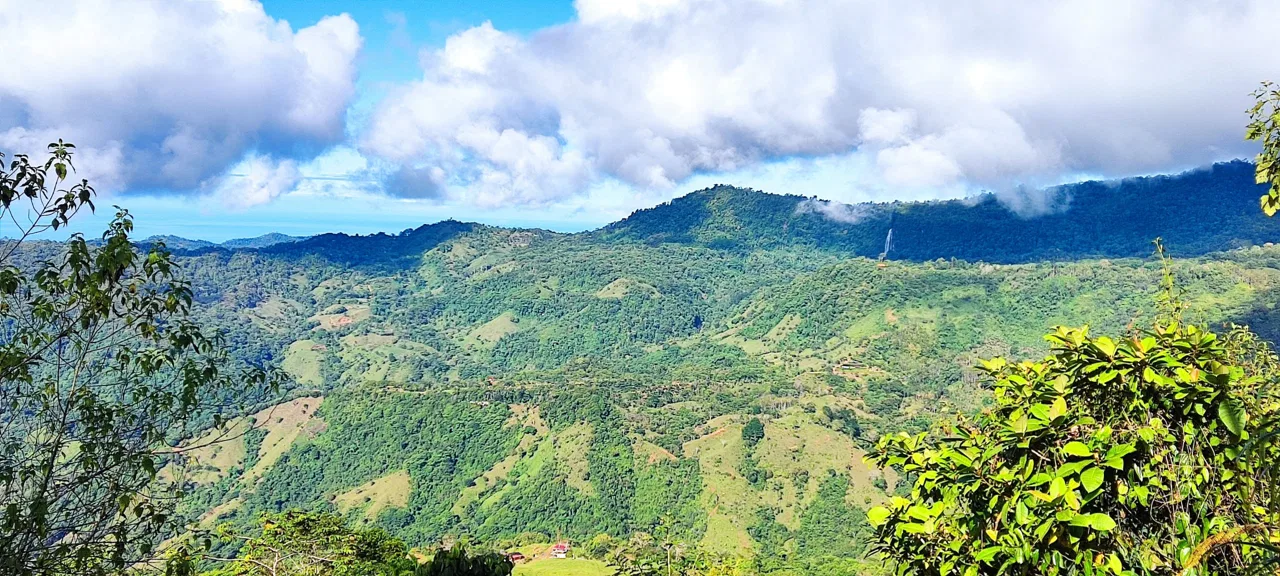 Fire Sale Under Market Value: Secluded Mountain Farm with Ocean Views – 19.28 acres, photo 5