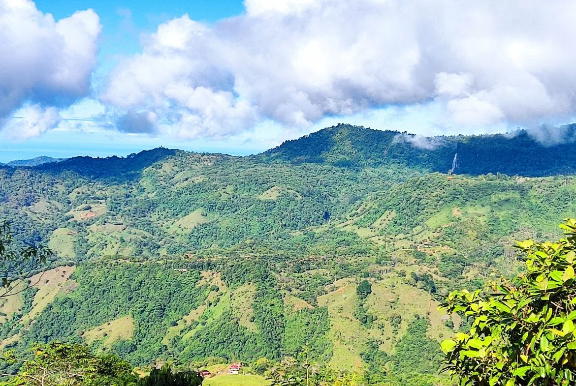 Fire Sale Under Market Value: Secluded Mountain Farm with Ocean Views – 19.28 acres, photo 6