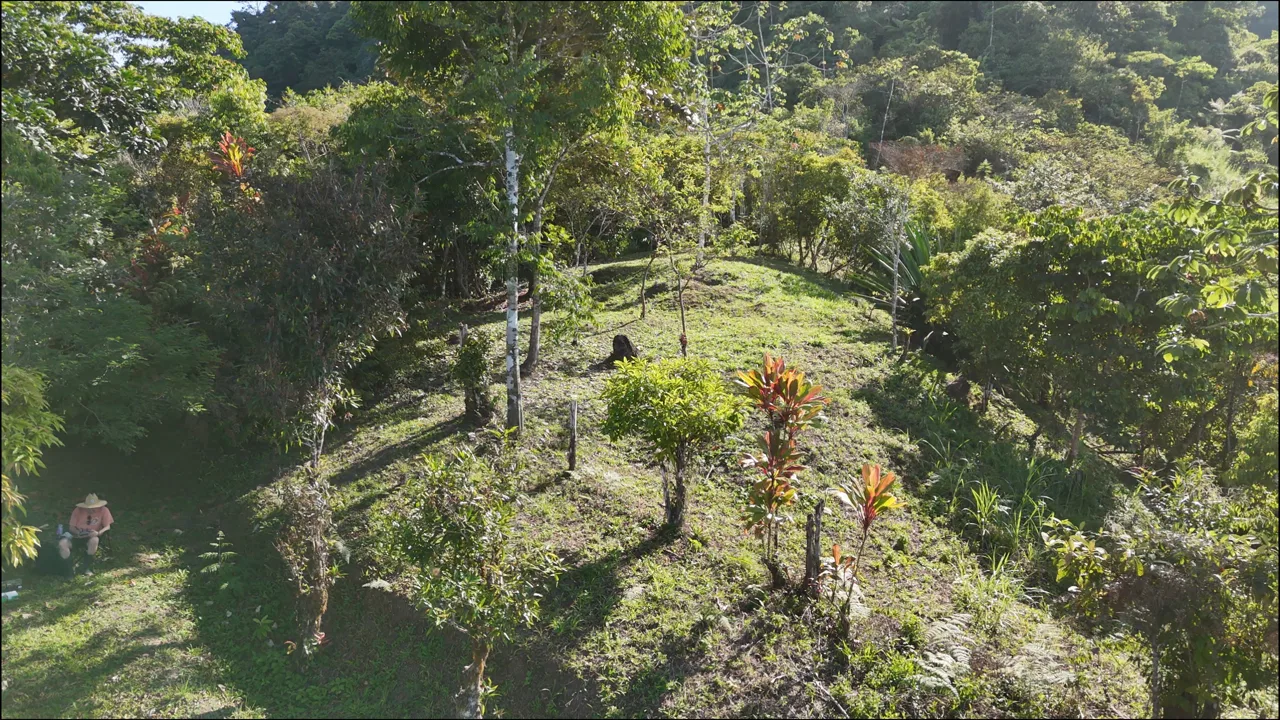 Fire Sale Under Market Value: Secluded Mountain Farm with Ocean Views – 19.28 acres, photo 7