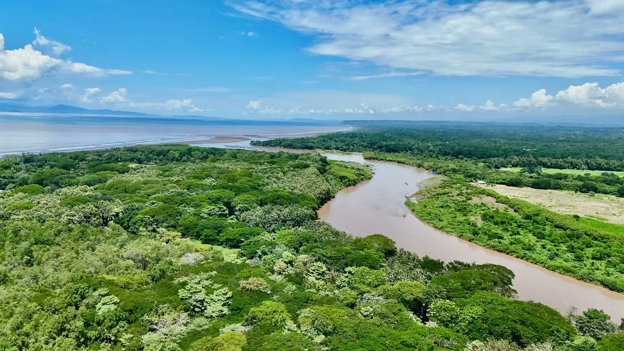 Bienvenido a una oportunidad única para poseer un pedazo de paraíso en Tarcoles, Puntarenas. Este extenso terreno ofrece una combinación ...