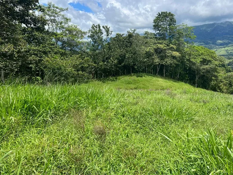 47 ACRES – Beautiful Mountain View Farm With Many Water Sources and Many Building Areas!!!!, photo 12