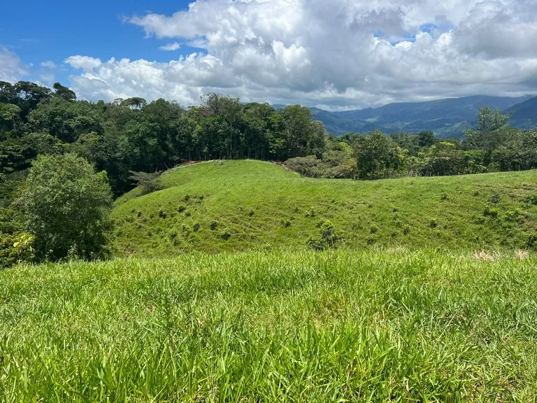 47 ACRES – Beautiful Mountain View Farm With Many Water Sources and Many Building Areas!!!!, photo 13