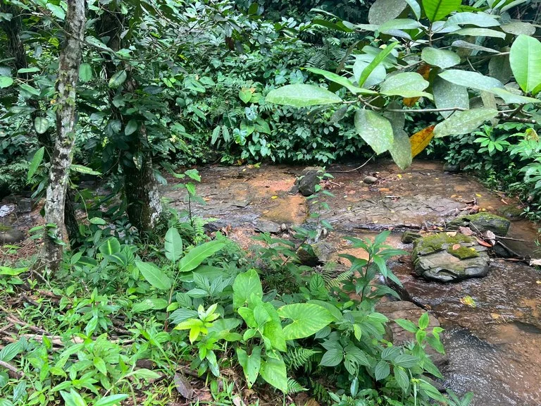 47 ACRES – Beautiful Mountain View Farm With Many Water Sources and Many Building Areas!!!!, photo 14