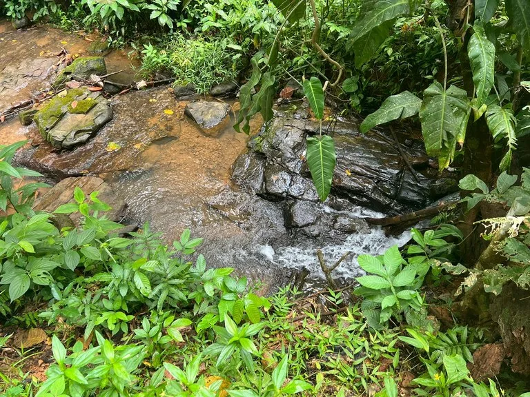 47 ACRES – Beautiful Mountain View Farm With Many Water Sources and Many Building Areas!!!!, photo 15