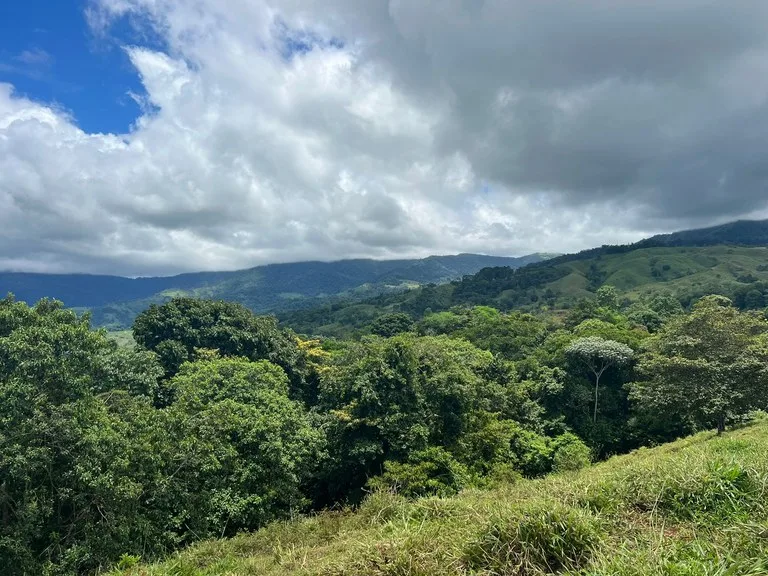 47 ACRES – Beautiful Mountain View Farm With Many Water Sources and Many Building Areas!!!!, photo 3