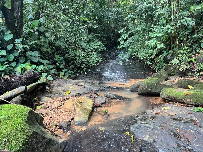 47 ACRES – Beautiful Mountain View Farm With Many Water Sources and Many Building Areas!!!!, photo 4