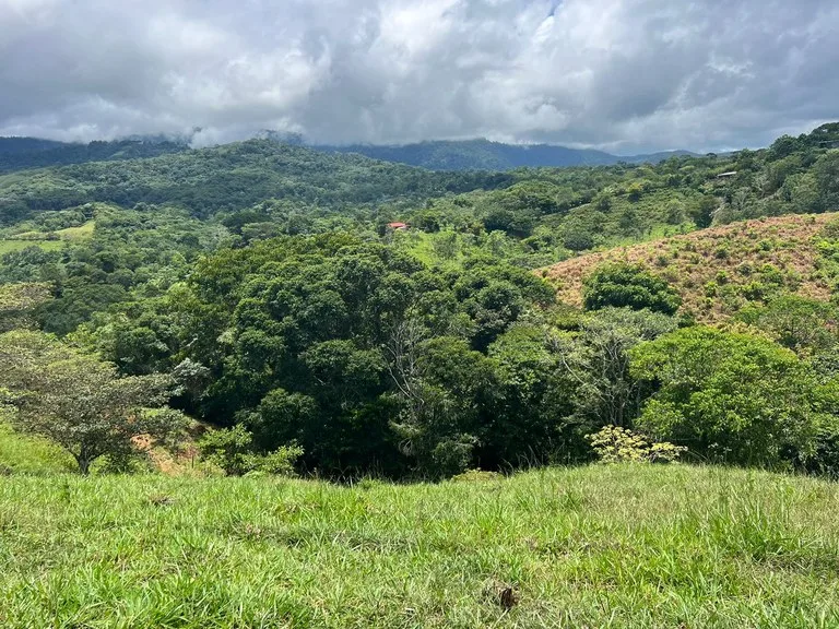 47 ACRES – Beautiful Mountain View Farm With Many Water Sources and Many Building Areas!!!!, photo 6