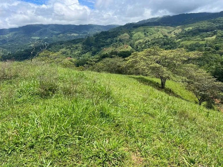 47 ACRES – Beautiful Mountain View Farm With Many Water Sources and Many Building Areas!!!!, photo 9