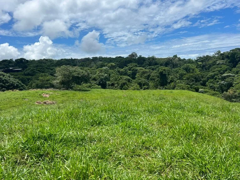 47 ACRES – Beautiful Mountain View Farm With Many Water Sources and Many Building Areas!!!!, photo 10