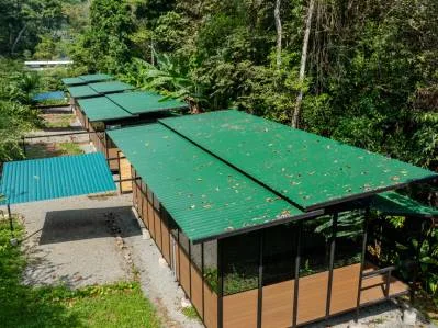 4 Unit Riverfront Micro Resort Minutes to Beach, photo 6