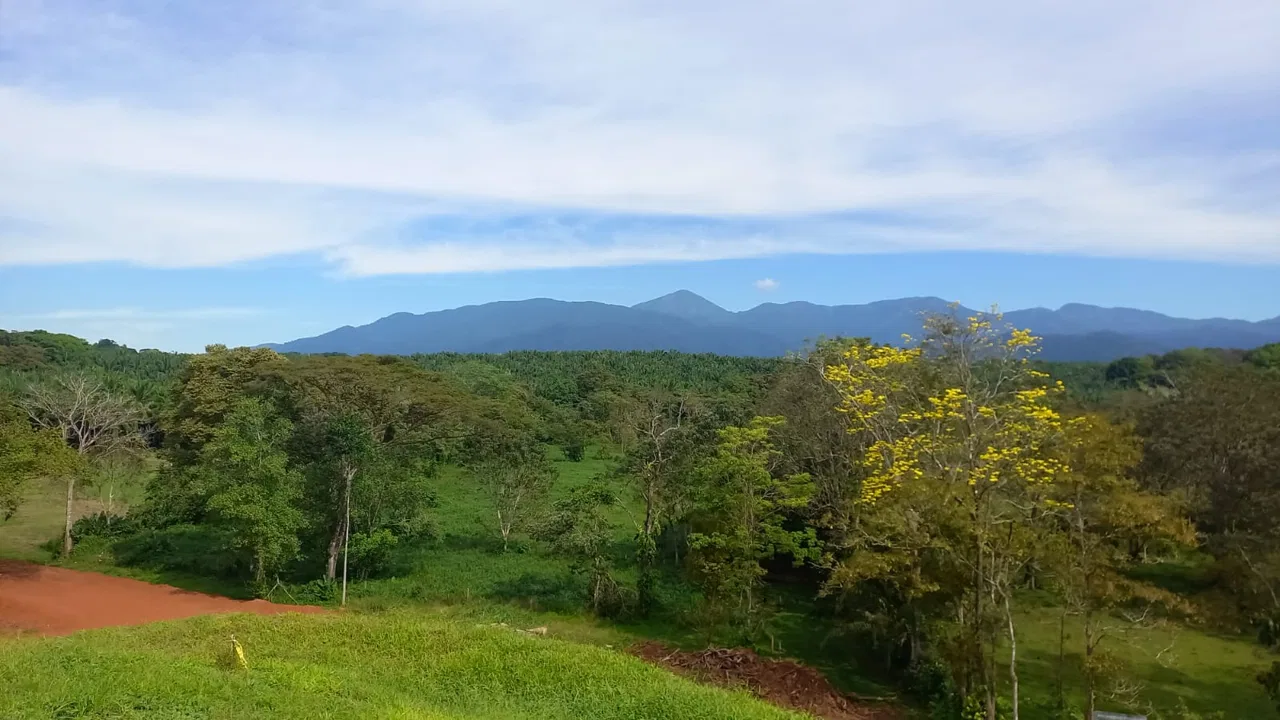 Secure your place in the future of Quepos and Manuel Antonio