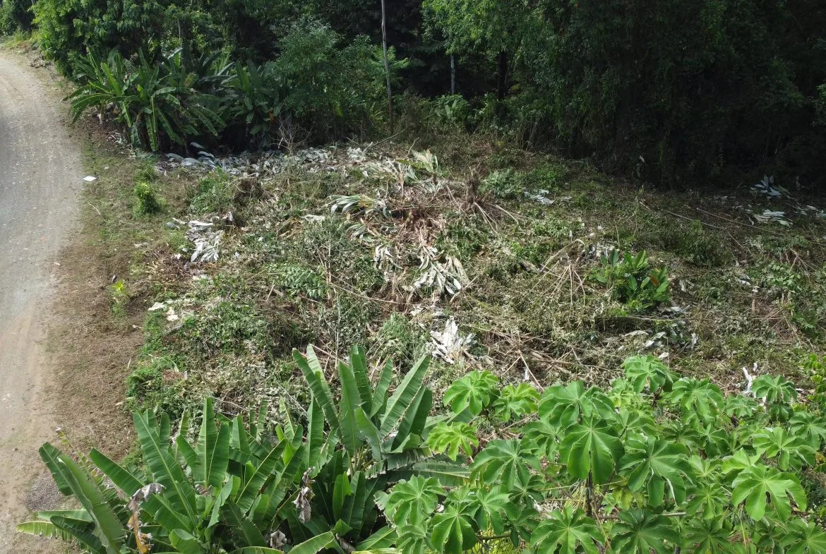 JUNGLE BUILDING PROPERTY WITH  PUBLIC ROAD IN FRONT, IN CINCO VENTANAS – 0.99 ACRES, photo 2