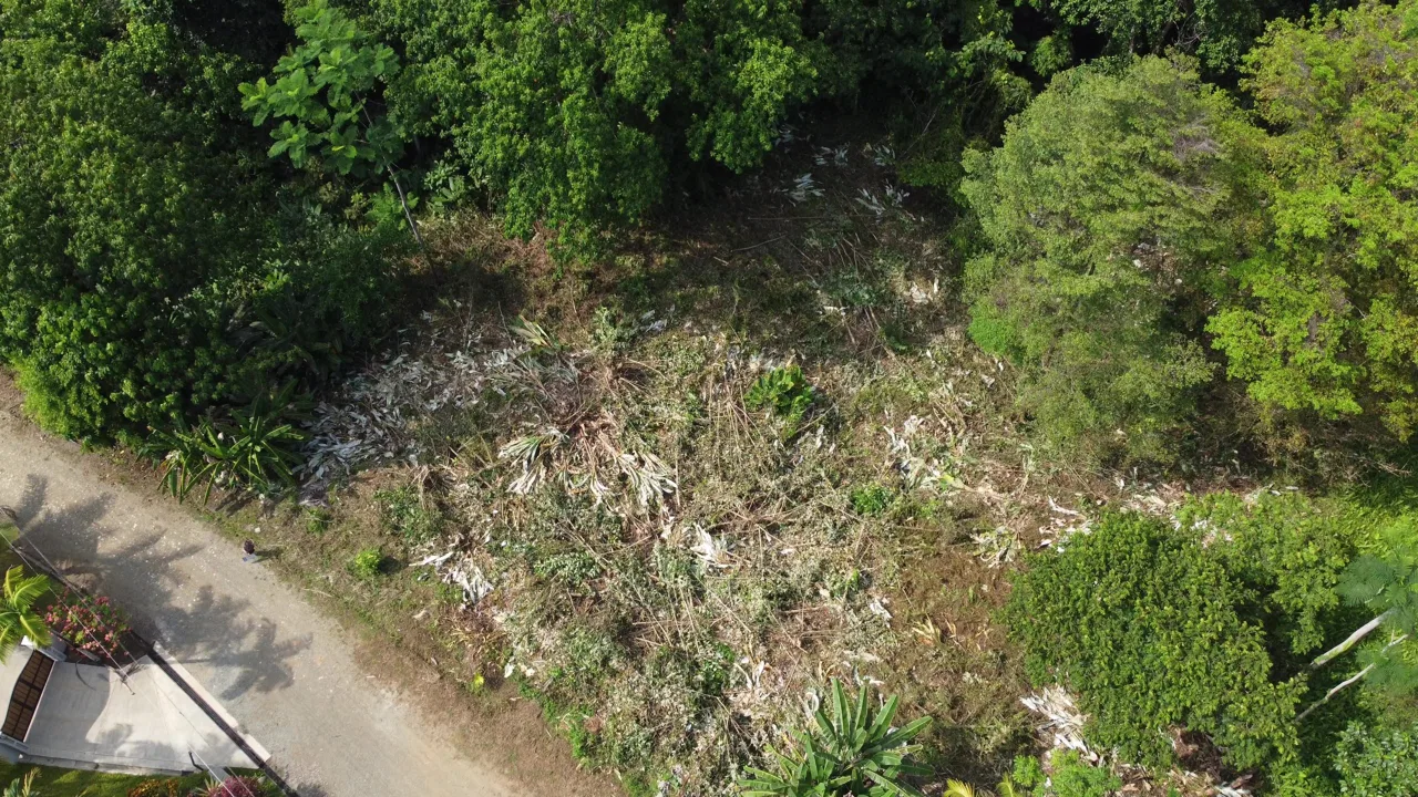 JUNGLE BUILDING PROPERTY WITH  PUBLIC ROAD IN FRONT, IN CINCO VENTANAS – 0.99 ACRES, photo 11