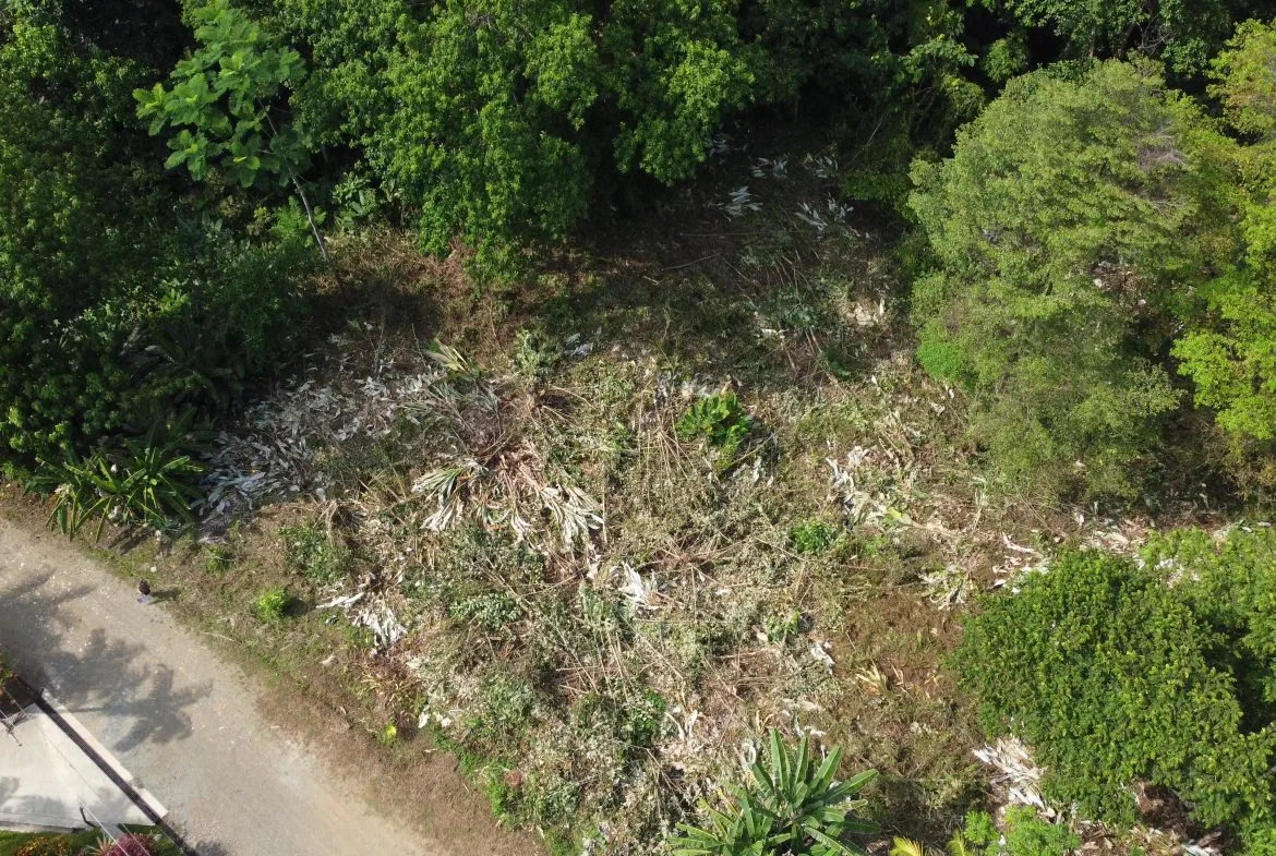 JUNGLE BUILDING PROPERTY WITH  PUBLIC ROAD IN FRONT, IN CINCO VENTANAS – 0.99 ACRES, photo 12