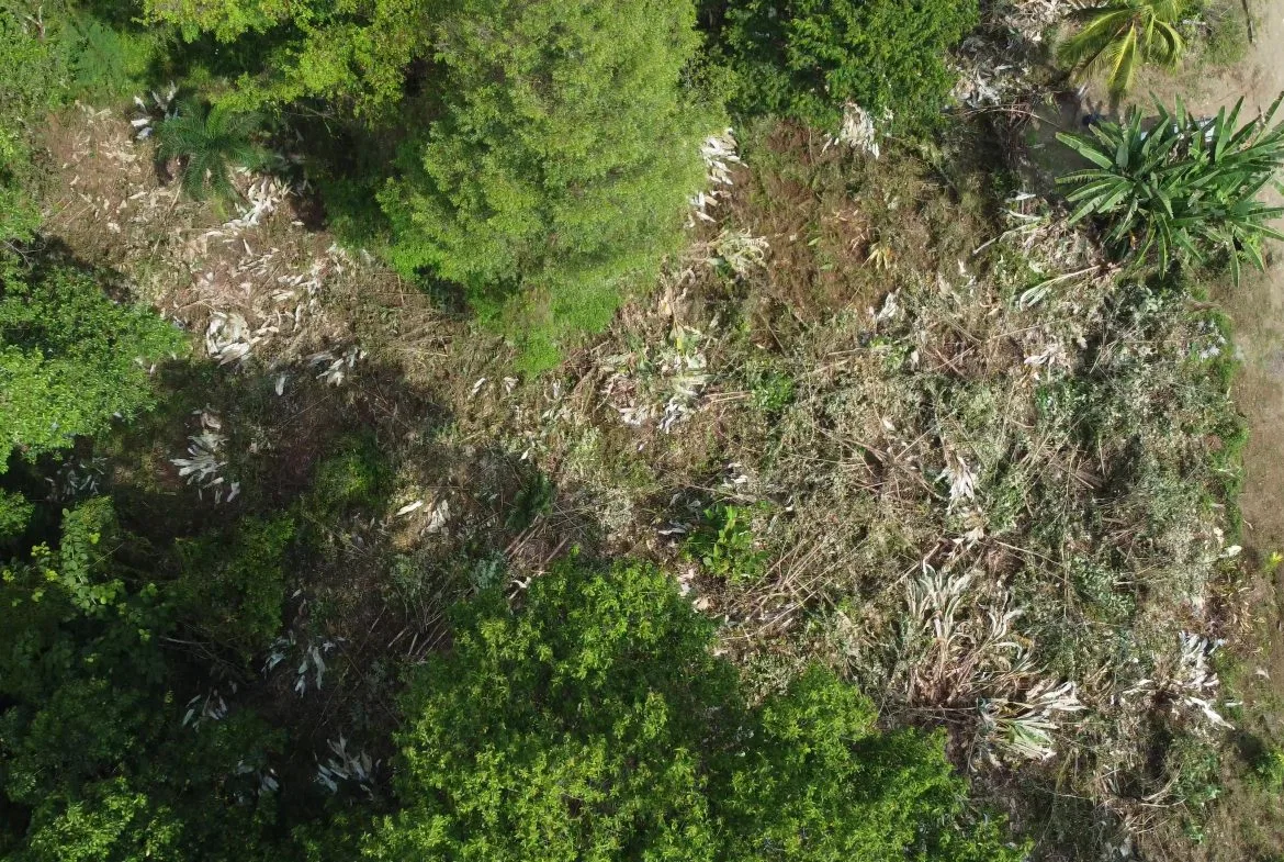 JUNGLE BUILDING PROPERTY WITH  PUBLIC ROAD IN FRONT, IN CINCO VENTANAS – 0.99 ACRES, photo 14