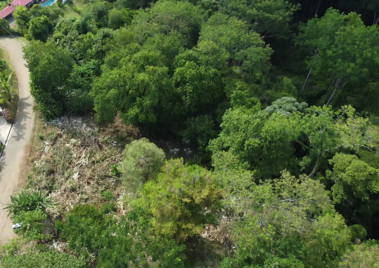 JUNGLE BUILDING PROPERTY WITH  PUBLIC ROAD IN FRONT, IN CINCO VENTANAS – 0.99 ACRES, photo 15