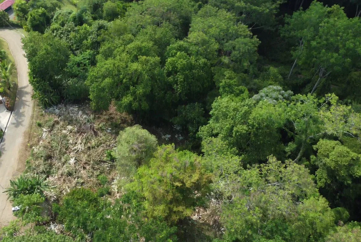JUNGLE BUILDING PROPERTY WITH  PUBLIC ROAD IN FRONT, IN CINCO VENTANAS – 0.99 ACRES, photo 16