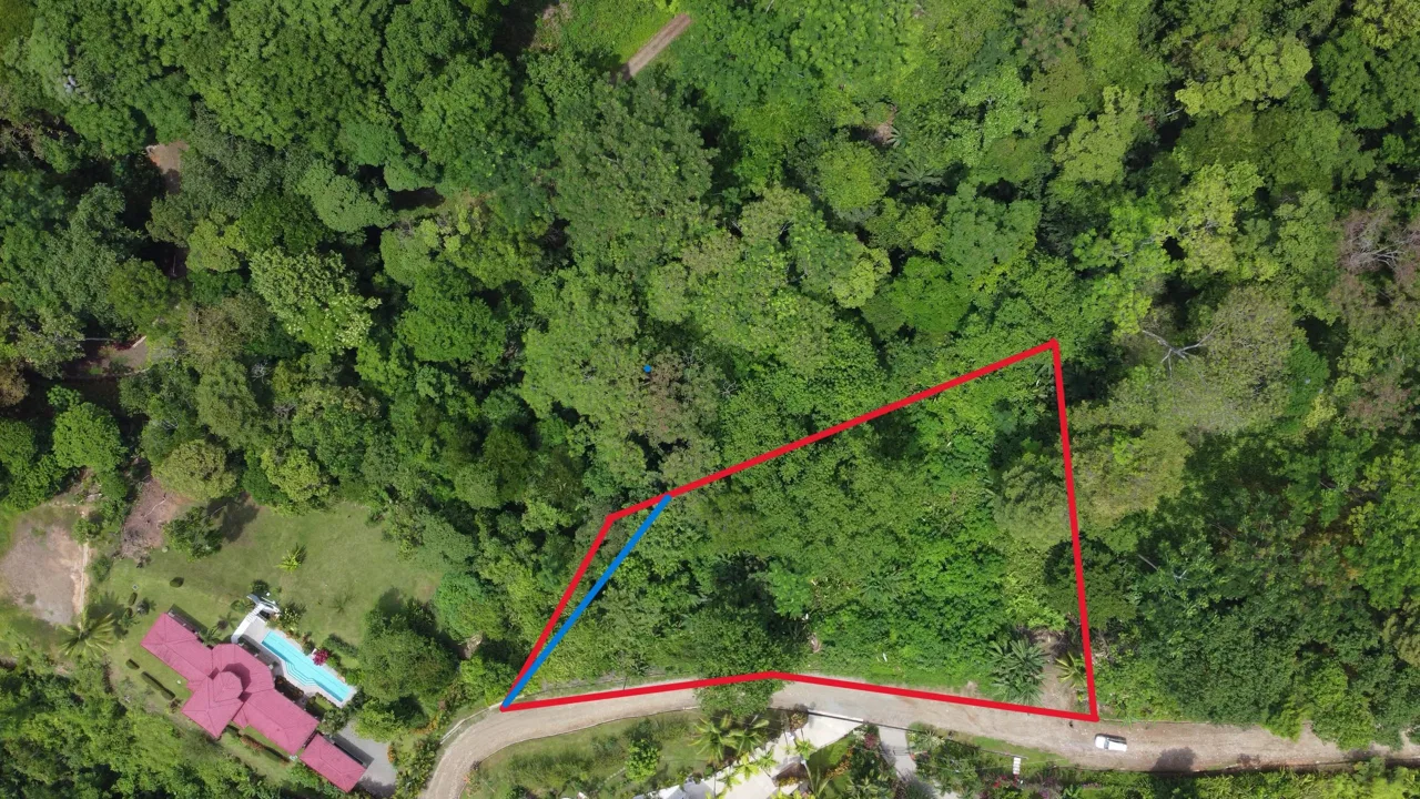 JUNGLE BUILDING PROPERTY WITH  PUBLIC ROAD IN FRONT, IN CINCO VENTANAS – 0.99 ACRES, photo 3