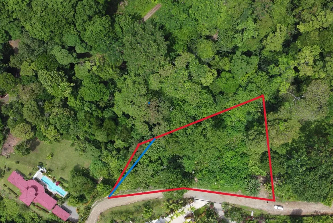 JUNGLE BUILDING PROPERTY WITH  PUBLIC ROAD IN FRONT, IN CINCO VENTANAS – 0.99 ACRES, photo 4