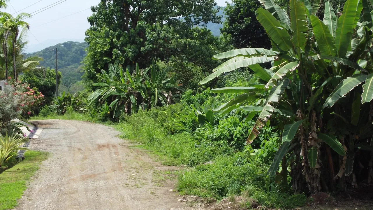 JUNGLE BUILDING PROPERTY WITH  PUBLIC ROAD IN FRONT, IN CINCO VENTANAS – 0.99 ACRES, photo 5