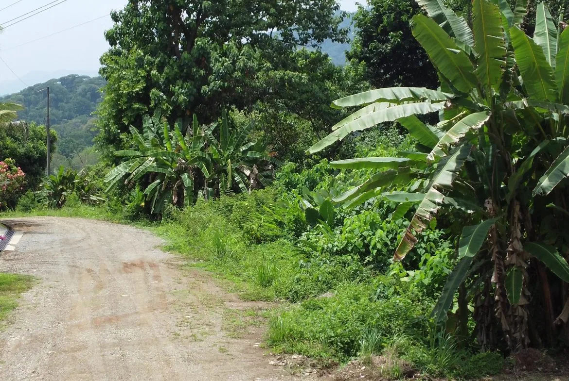 JUNGLE BUILDING PROPERTY WITH  PUBLIC ROAD IN FRONT, IN CINCO VENTANAS – 0.99 ACRES, photo 6