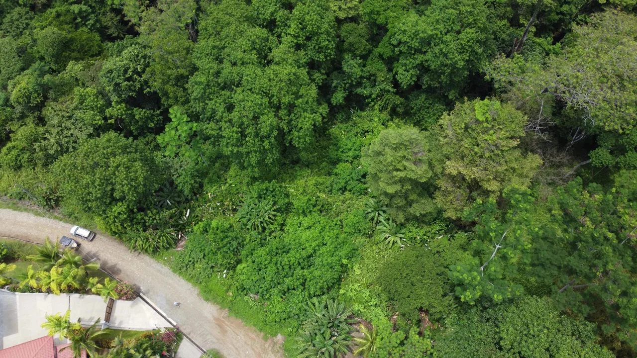 JUNGLE BUILDING PROPERTY WITH  PUBLIC ROAD IN FRONT, IN CINCO VENTANAS – 0.99 ACRES, photo 7