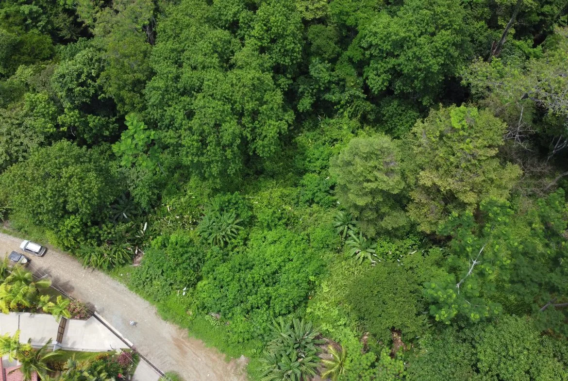 JUNGLE BUILDING PROPERTY WITH  PUBLIC ROAD IN FRONT, IN CINCO VENTANAS – 0.99 ACRES, photo 8
