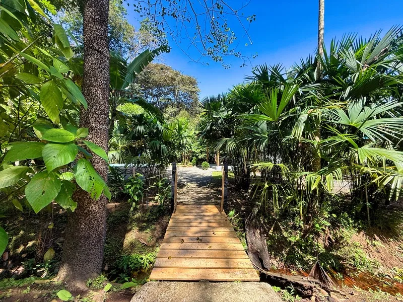 2 Bed Single Family Homes For Sale in Cahuita, photo 6