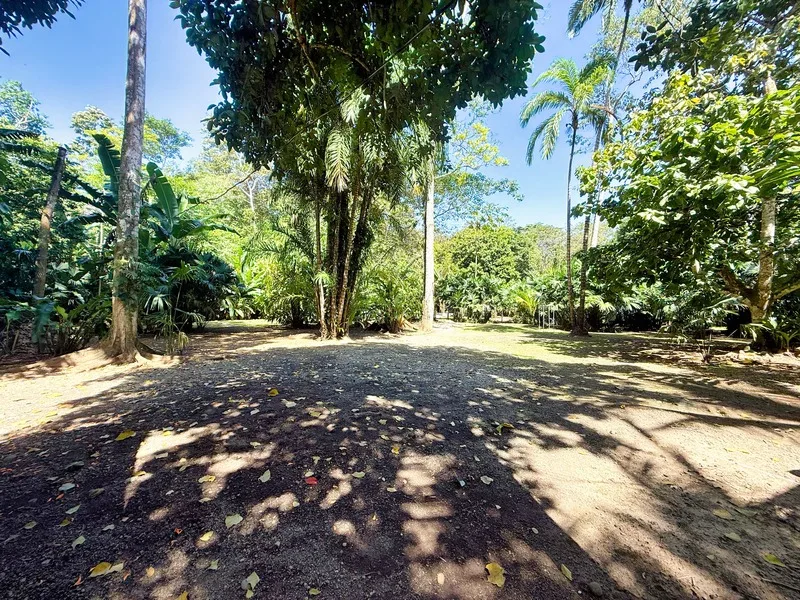 2 Bed Single Family Homes For Sale in Cahuita, photo 8