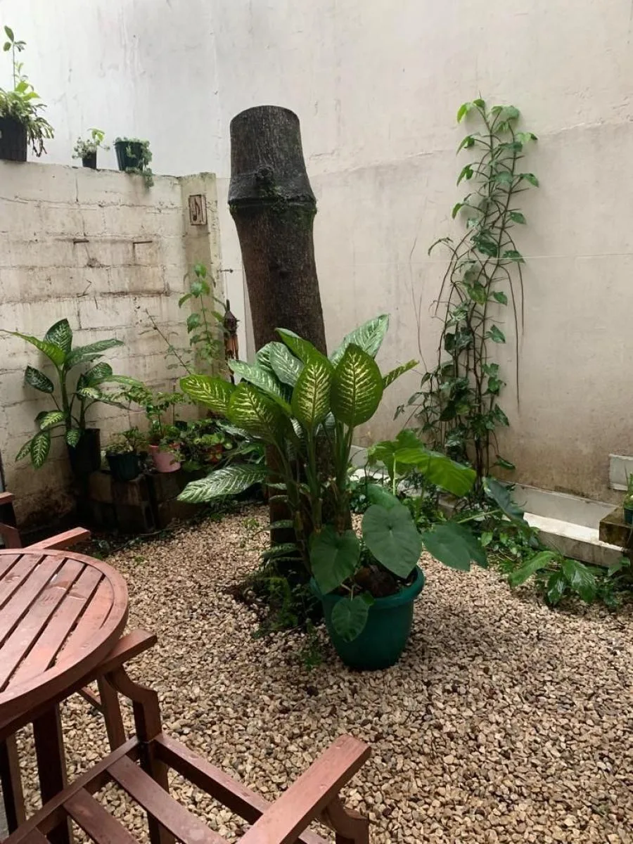 Se vende casa en Montes de Oca, San José  (DJ 24-781) - Venta en Montes de Oca, photo 8