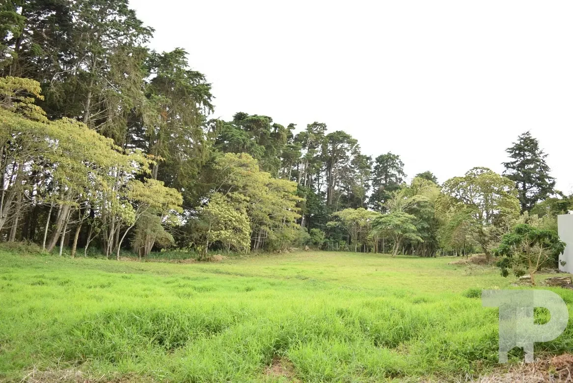 LOT FOR SALE IN LOS ANGELES, SAN RAFAEL, HEREDIA, EL CASTILLO RESIDENTIAL DEVELOPMENT SCG69, photo 8
