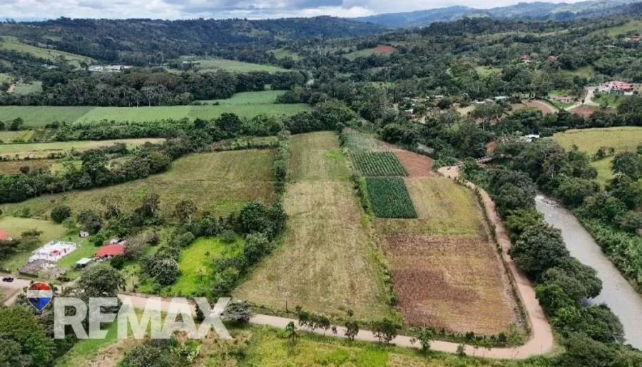 PROPIEDAD EN VENTA EN EL ROSARIO DE PACUAR, PZ OPORTUNIDAD DE INVERSIÓN - Venta en Perez Zeledón, photo 6