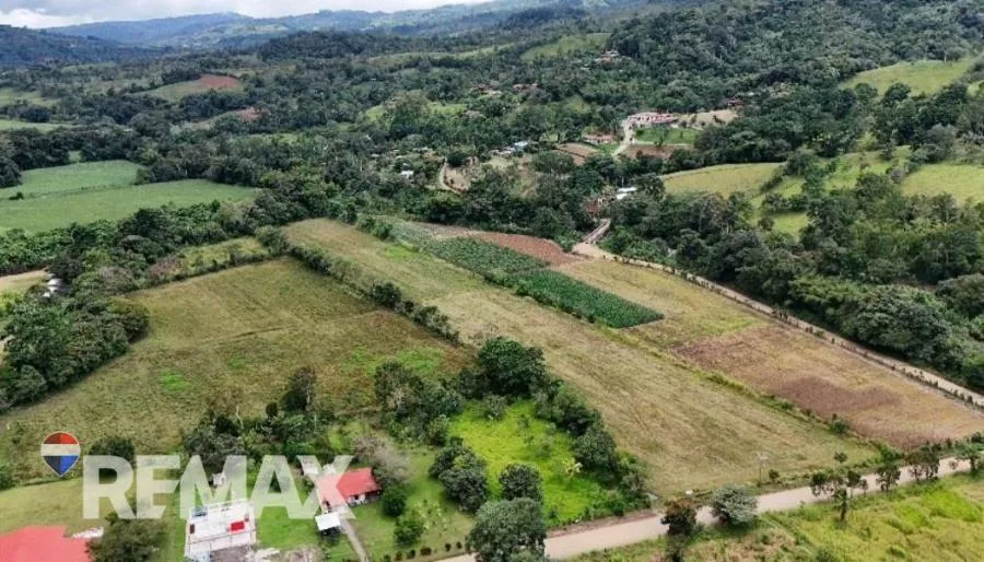 PROPIEDAD EN VENTA EN EL ROSARIO DE PACUAR, PZ OPORTUNIDAD DE INVERSIÓN - Venta en Perez Zeledón, photo 7
