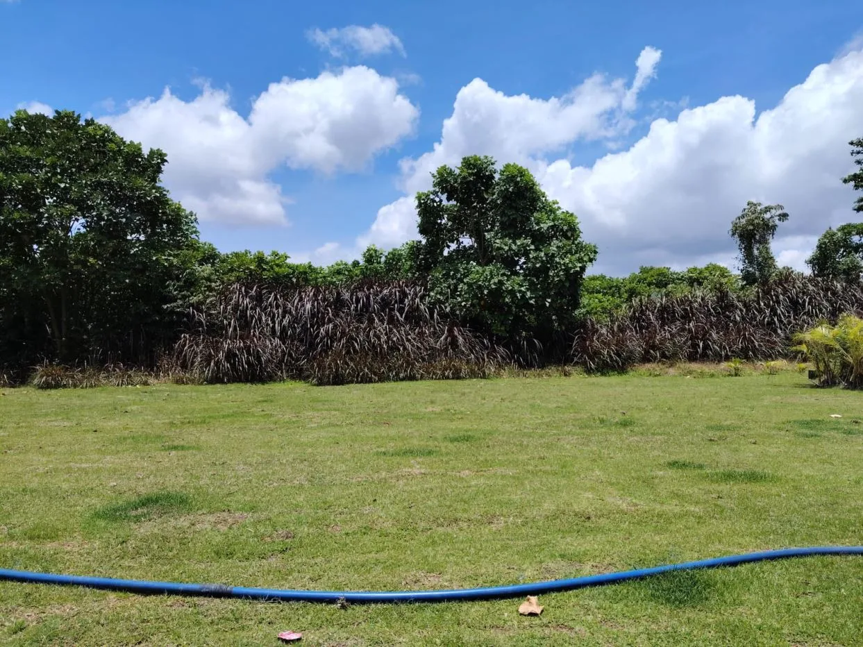 For Sale: Beautiful Flat Farm With Pasture, Ornamentals, And High Investment Potential, photo 11
