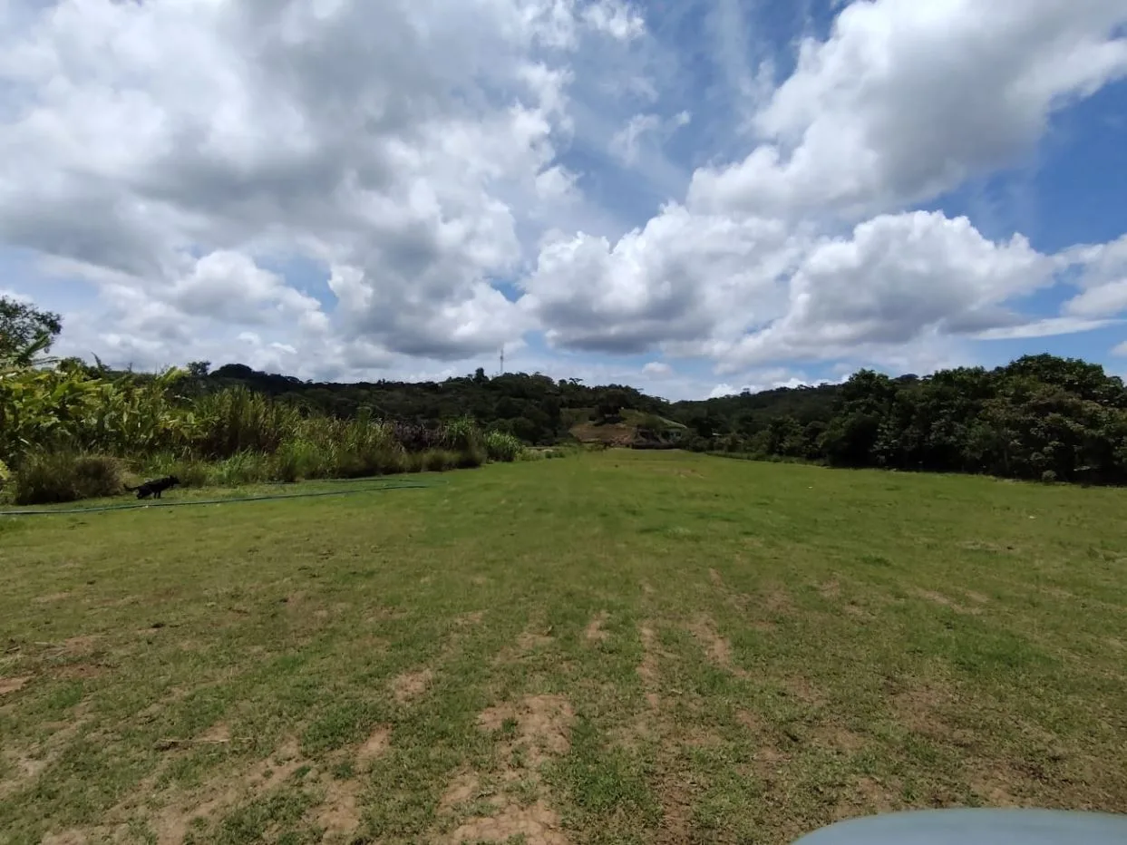 For Sale: Beautiful Flat Farm With Pasture, Ornamentals, And High Investment Potential, photo 14