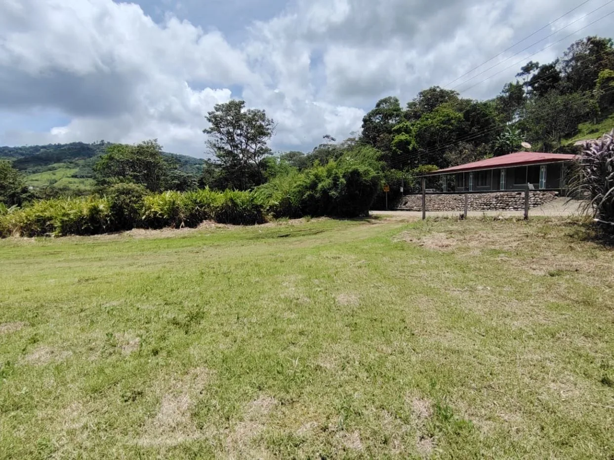 For Sale: Beautiful Flat Farm With Pasture, Ornamentals, And High Investment Potential, photo 15