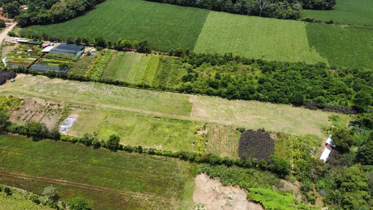 For Sale: Beautiful Flat Farm With Pasture, Ornamentals, And High Investment Potential, photo 6